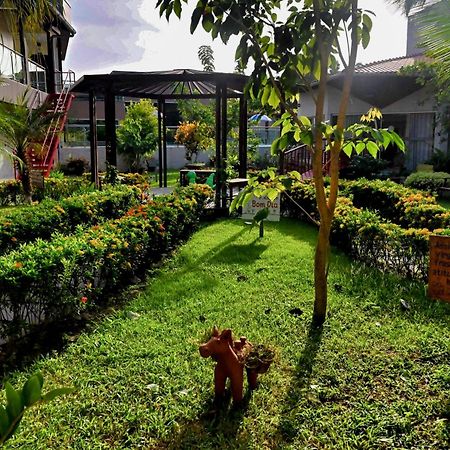 Pousada Paraiso Dos Lencois บาร์เฮรินยัส ภายนอก รูปภาพ